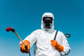 Best Bee and Wasp Removal  in Sapulpa, OK